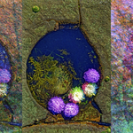 ENTROPY  TRIPTYCH lV-Vl