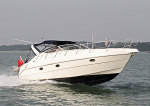 101009 DIALEMMA IMG_9608