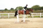 SBM_004803