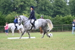 WJ7_3254