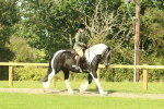 SBM_67469