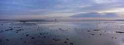 Panorama portfolio