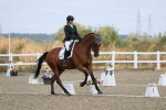 SBM_020897