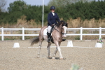 SBM_020909