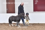 BPP_1037