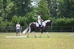WJ6_7805