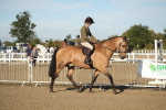SBM_11253
