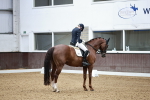 SBM_001522