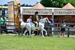 SBM_13953