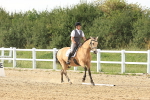 SBM_001123