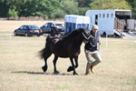 WJ6_4660