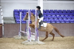 SBM_001586