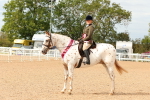 SBM_18266