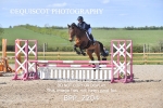 BPP_2204