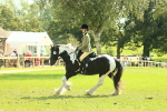 SBM_67598