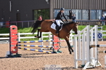 Sunday 6th Wessex Arena portfolio