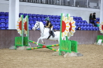 SBM_000287