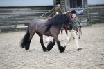 SBM_006413