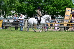 SBM_17391