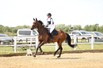 SBM_004055