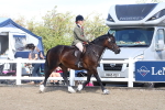SBM_13427