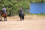 WJ6_7904