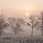Knavesmire Frost