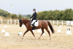 SBM_003800