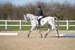 SBM_004242