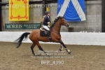 BPP_4390