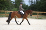 20260704-0324