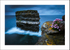 Sea Pinks Dun Briste -