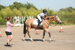 SBM_009988