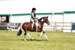 SBM_16359