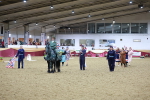 SBM_10199