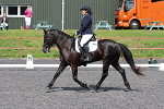 SIAL9154
