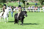 SBM_50286
