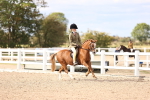 SBM_18032