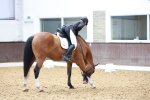 SBM_009973