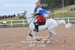 BPP_5596