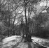 Dovedale, Derbyshire in snow