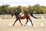 SBM_003481