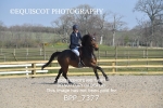 CLASS 4 Senior 1.05m Open portfolio