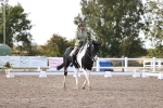 SBM_07947