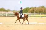 SBM_008451