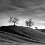 Yorkshire