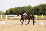 SBM_005273