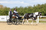 SBM_000905