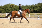 SBM_009449