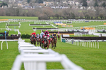 240126-Race 4-Favori De Champdou-6825